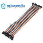 Dupont Line Male to Male 30 CM