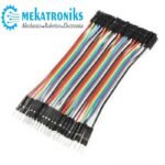 Dupont Line Male to Female 10 CM