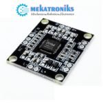 PAM8610 Dual Channel Amplifier 12v Digital Amplifier in Pakistan