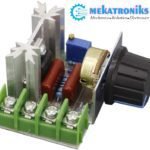 AC 220V 2000W Voltage Regulator