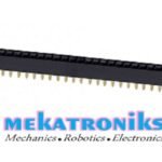 Female Header 40 Pins