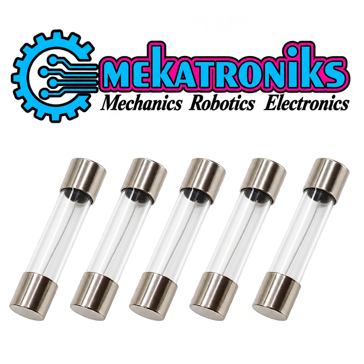 1A Fast Blow Glass Fuse rated 250V in 6×30mm size